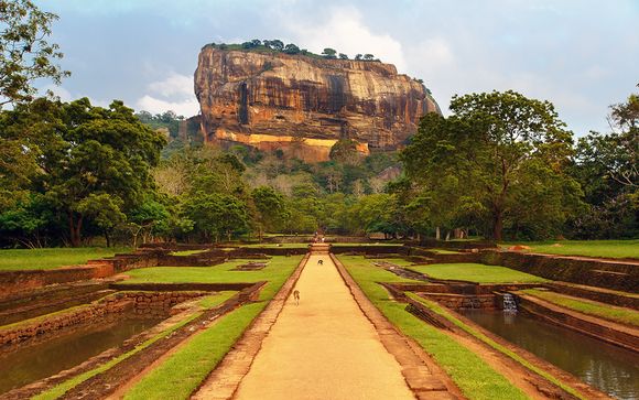 Zoom sur votre programme