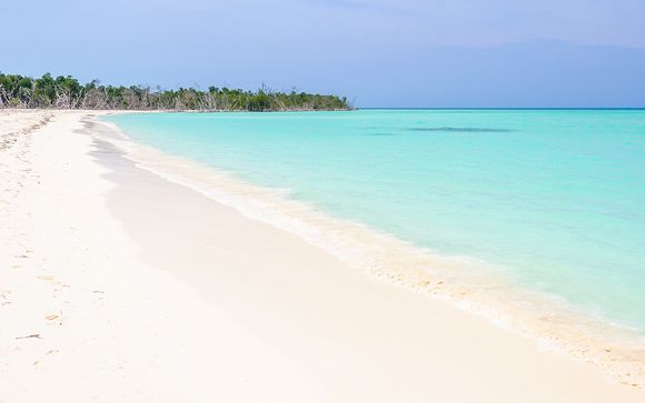 Mettez une option sur l’évasion