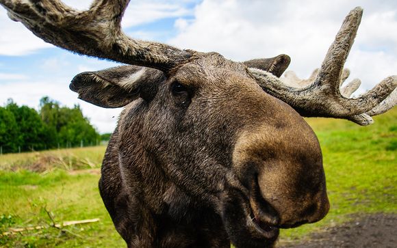 Nos petites astuces pour un séjour idéal