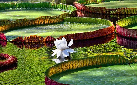 Et pour aller plus loin...