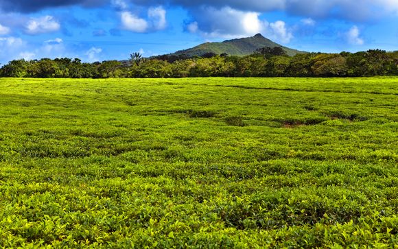 Et pour aller plus loin...