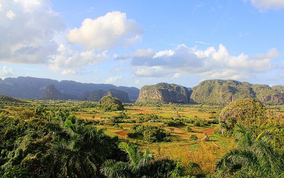 Mettez une option sur l’évasion