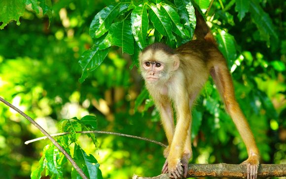 Nos petites astuces pour un séjour idéal