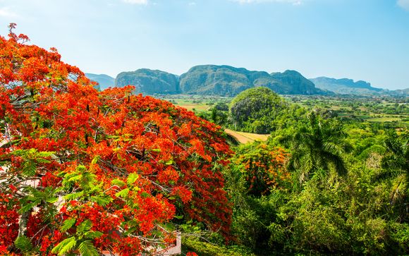 Mettez une option sur l’évasion