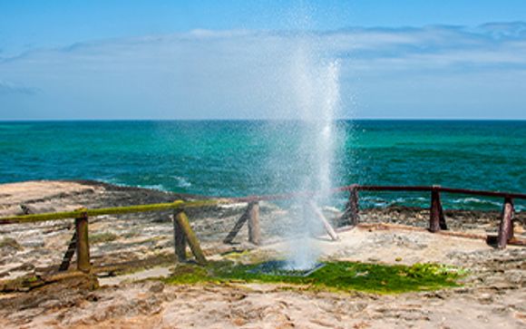 Mettez une option sur l’évasion