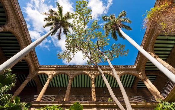 Votre excursion pour plus d