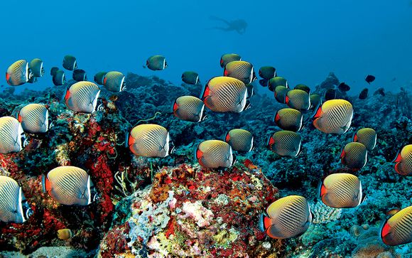 Et pour aller plus loin...