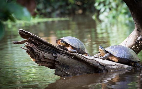 Nos petites astuces pour un séjour idéal