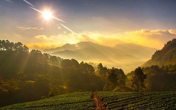 Zoom sur votre programme