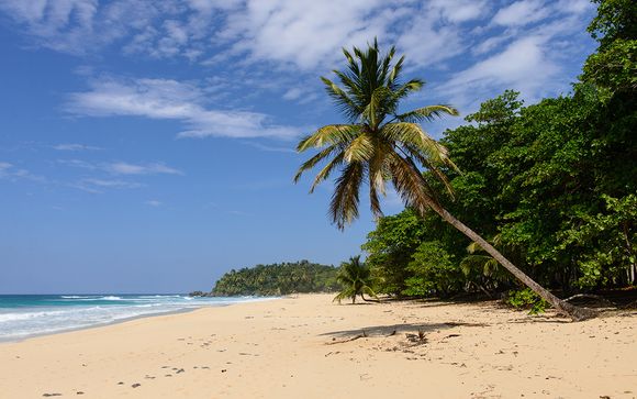 Et pour aller plus loin...