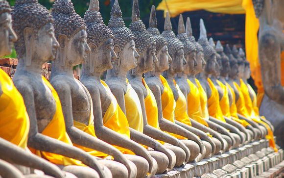 Zoom sur votre programme