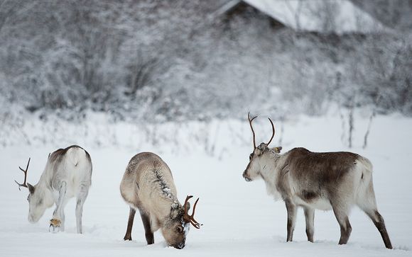 Et pour aller plus loin...