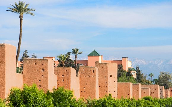 Zoom sur votre programme