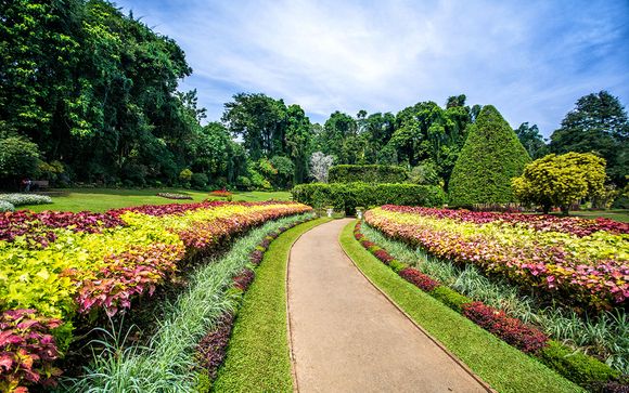 Mettez une option sur l’évasion