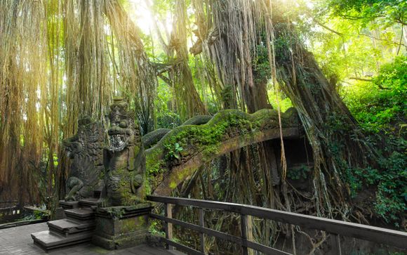 Mettez une option sur l’évasion