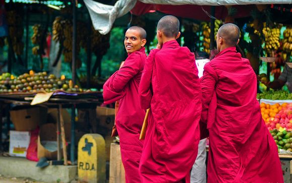 Zoom sur votre programme