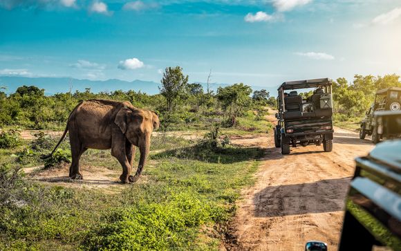 Ihre Safari im Überblick