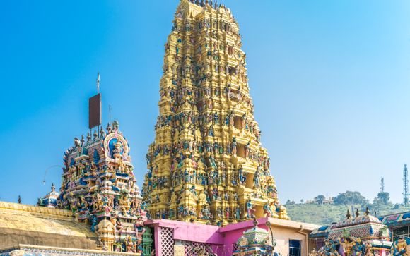 Ihre Rundreise im Detail