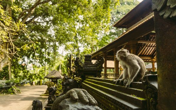 Willkommen auf Bali!