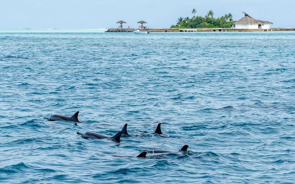 Mettez une option sur l