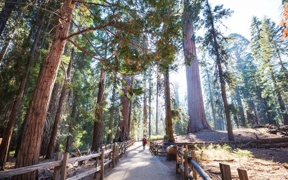 Ihre Rundreise im Detail