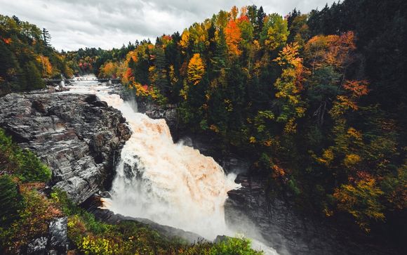 Vos options incluses pour plus d