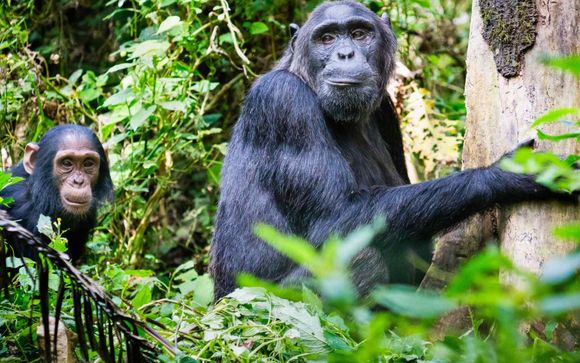 Mettez une option sur l