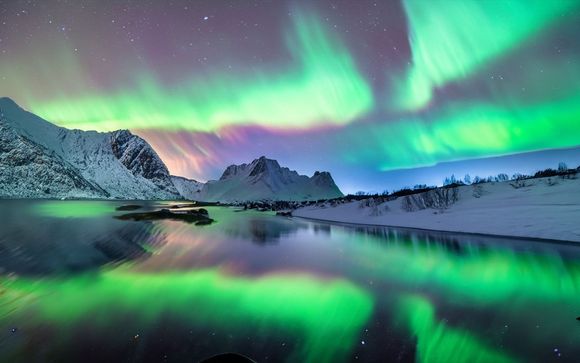 Ihre Reise im Detail