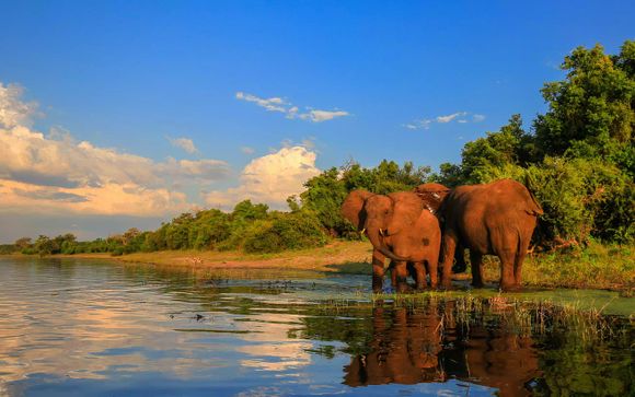 Ihre Safari im Überblick