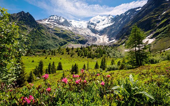 Cap sur les sommets !