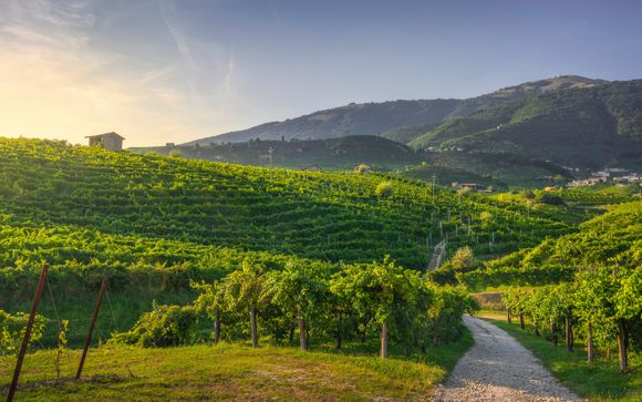 Im Angebot enthalten