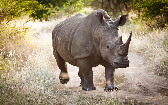 Pour aller plus loin 