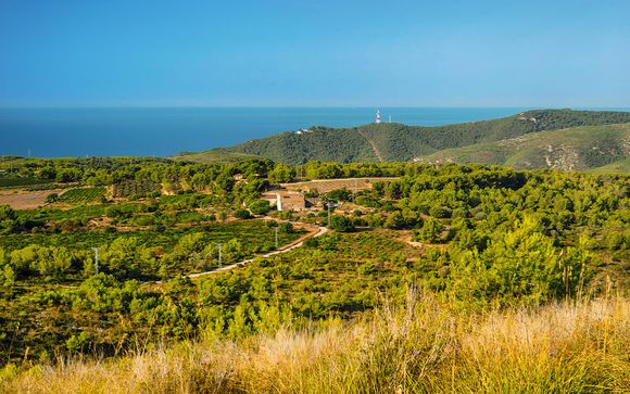 Pour aller plus loin 