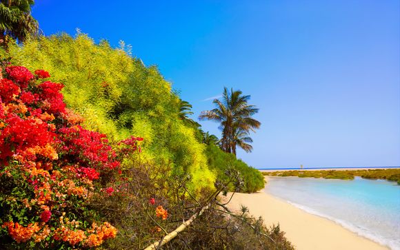 Pour aller plus loin 