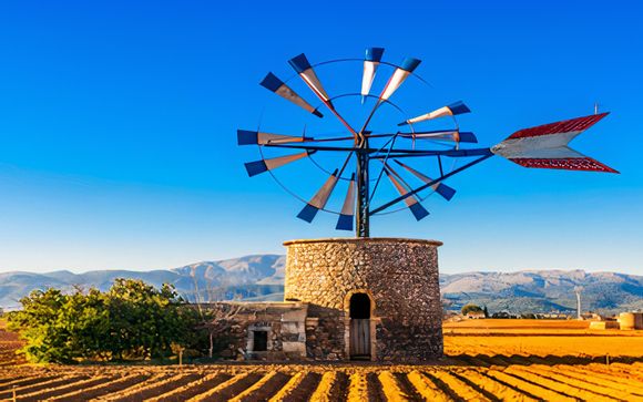 Ihre Ausflugsoptionen