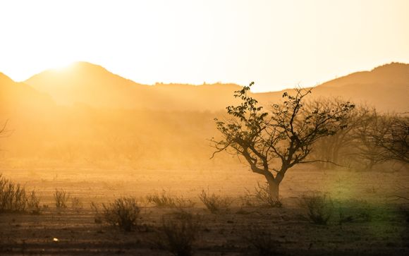 Ihre Safari im Detail