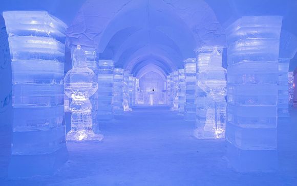 Ihre Reise im Detail