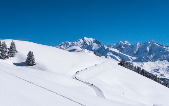 Auvergne-Rhône-Alpes 