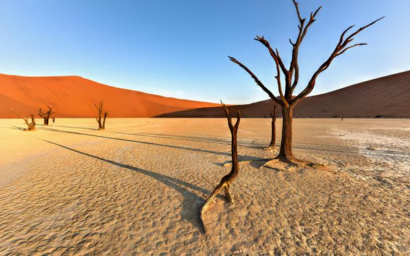 Ihre Rundreise im Detail