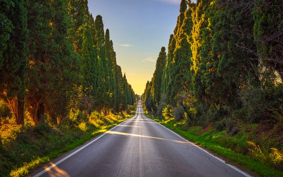 Willkommen in Bolgheri