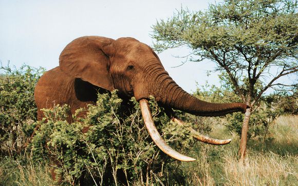 Ihre Reise im Detail