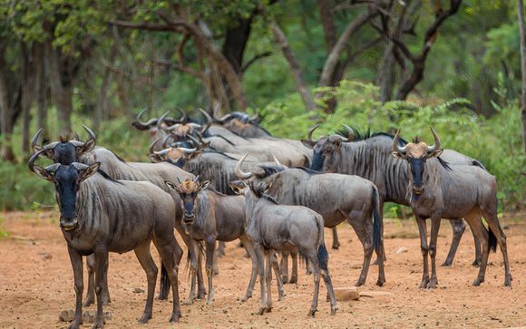 Ihre Reise im Detail