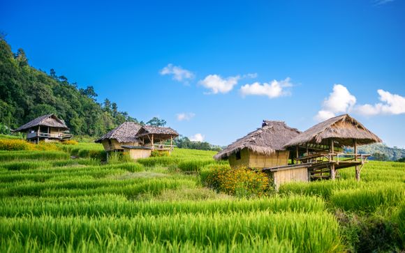 Ihre Rundreise im Detail