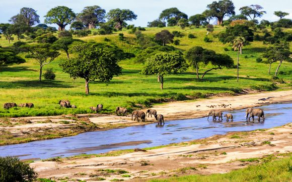 Ihre Safari im Überblick