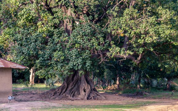 Ihre Rundreise im Detail