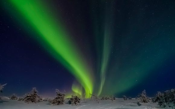 Ihre Reise im Detail