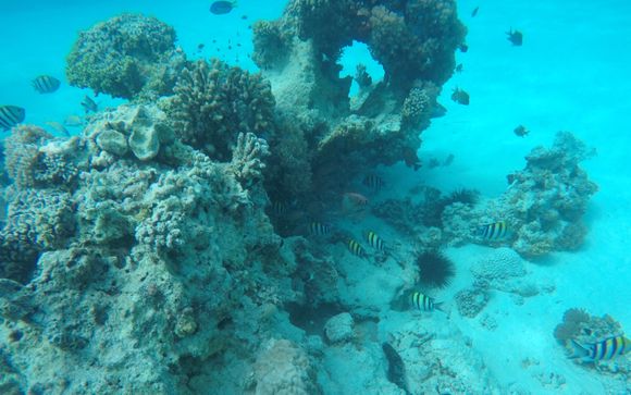 Ihre Ausflugsoptionen