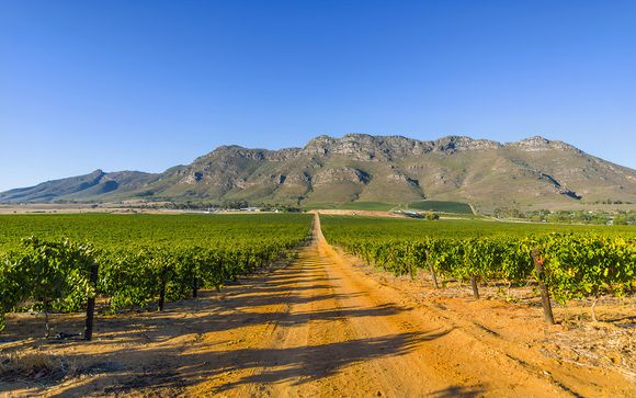 Ihre Ausflugsoptionen