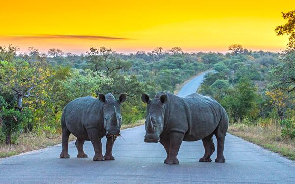 Ihre Rundreise im Detail