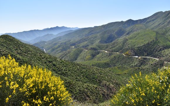 Ihre Reise im Detail